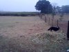 Lote | La Porte&ntilde;a | Tandil