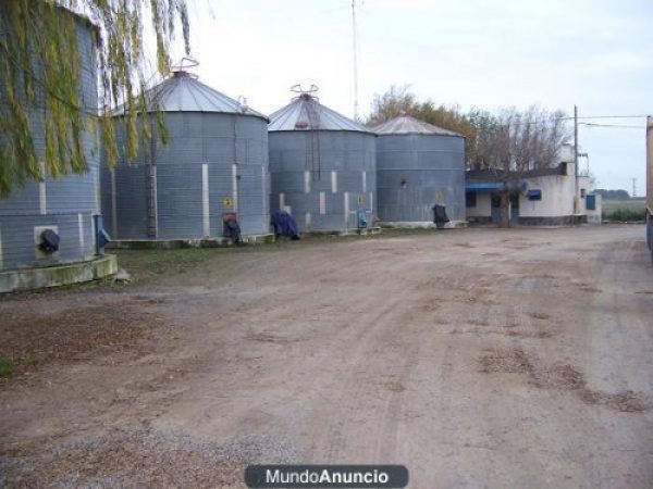 Planta de Silos