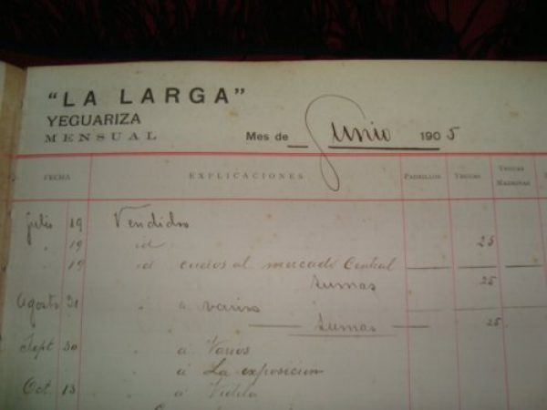 Antiguo Libro De Estancia