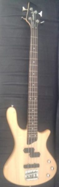 Washburn T 14 excelente