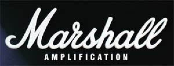 Marshall dsl401 40w VALVULAR