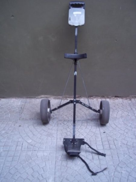 CARRO DE GOLF