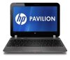 NETBOOK HP PAVILION 320GB-11.6"-4GB-HDMI