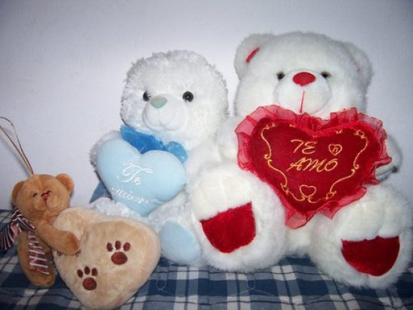 Osos Peluche 3x1