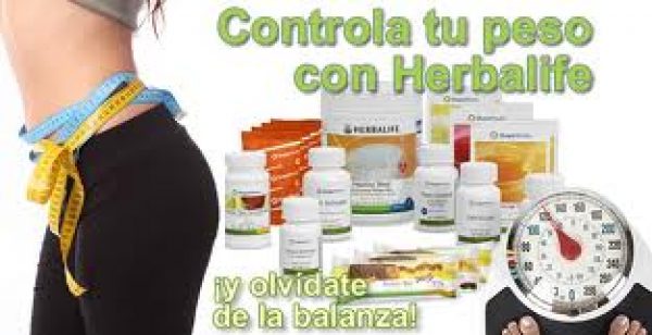 DISTRIBUIDOR HERBALIFE EN MAR DEL PLATA 