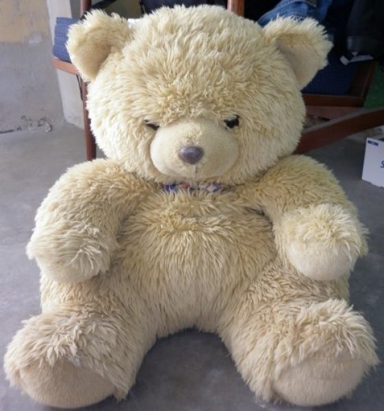 Oso de peluche
