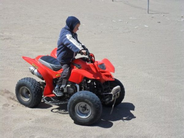 panther 110 modelo 2005