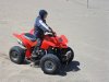 panther 110 modelo 2005