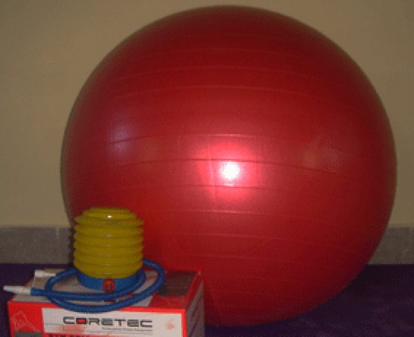 PELOTA YOGA PILATES ESFERODINAMIA 