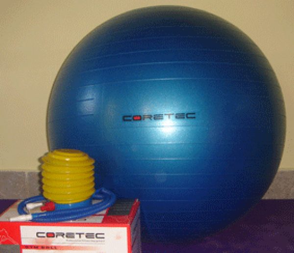 PELOTA YOGA PILATES ESFERODINAMIA 