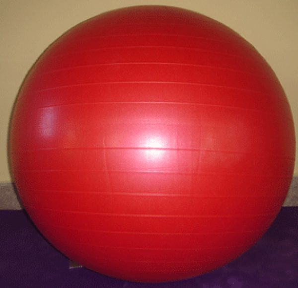 PELOTA YOGA PILATES ESFERODINAMIA 