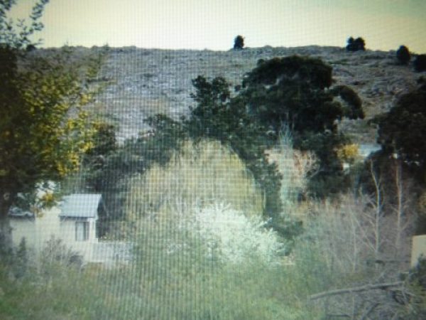 Lote | UNCAS | Tandil