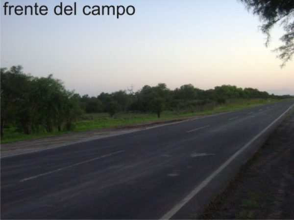Campo en venta | Ruta 95 | Presidencia Roque Saenz Pe&ntilde;a