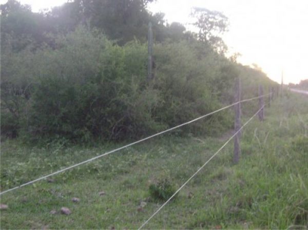 Campo en venta | Ruta 95 | Presidencia Roque Saenz Pe&ntilde;a