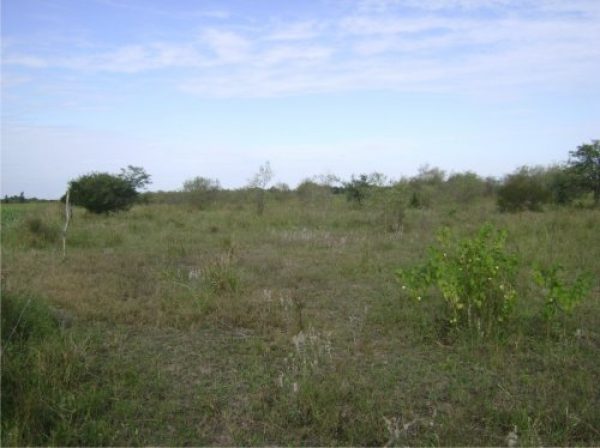 Campo en venta | 100has | Presidencia Roque Saenz Pe&ntilde;a