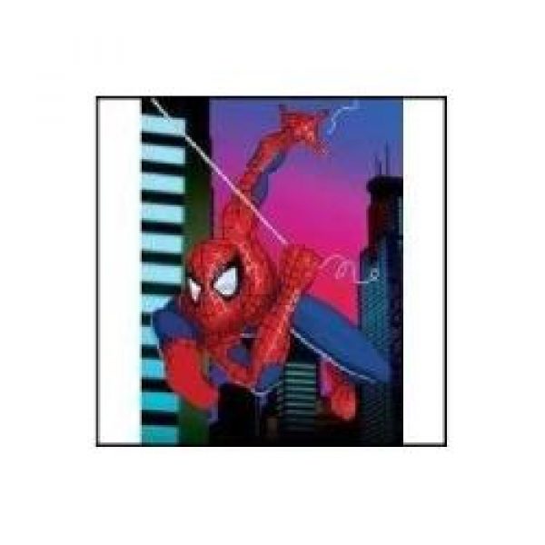 DVD EL HOMBRE ARA&Ntilde;A 2003 SPIDERMAN SERIE ORIGINAL