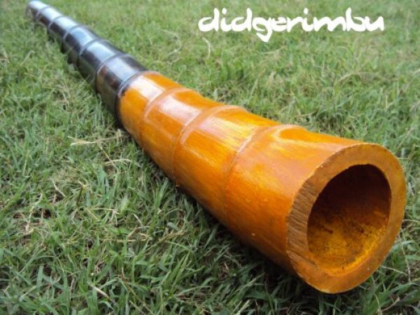 Didgeridoos De Tacuara Super Graves!!