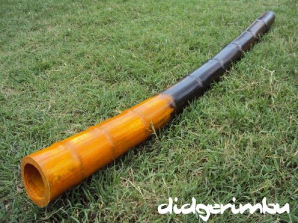 Didgeridoos De Tacuara Super Graves!!