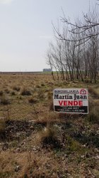 Lote | Area Industrial | Tandil