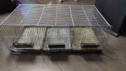 Jaula gigante  Conejo chinchilla hamster