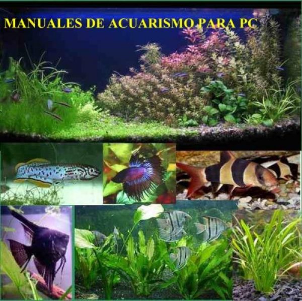 Manuales De Acuarismo + Suscripci&oacute;n !!