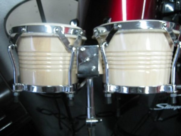 Bongoe Thunder