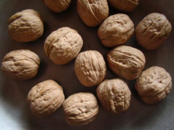 Nueces chandler, excelente tama&ntilde;o...