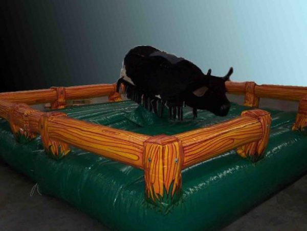 TORO MECANICO . VENTA CON ASESORAMIENTO 