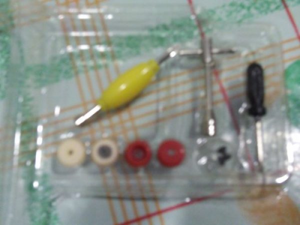 Mini Skate DwD Original
