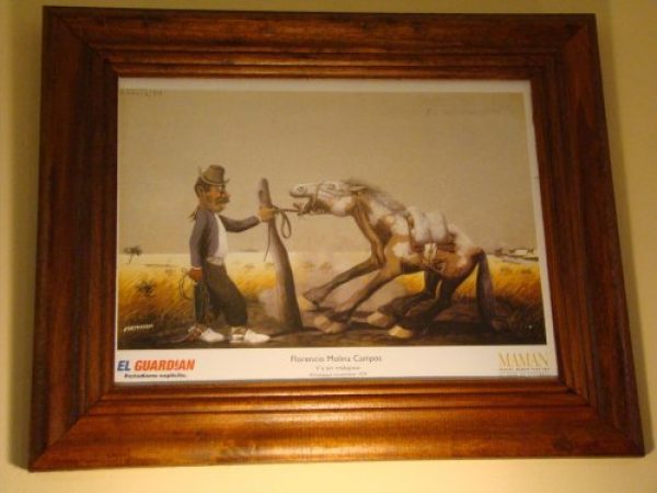 CUADROS CON LAMINAS DE MOLINA CAMPOS