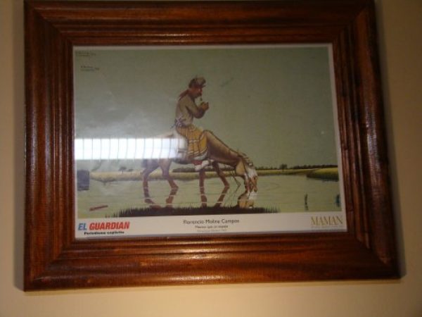 CUADROS CON LAMINAS DE MOLINA CAMPOS