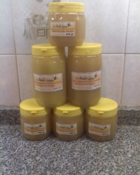 Miel Pura de Abeja, Jalea Real, Polen 