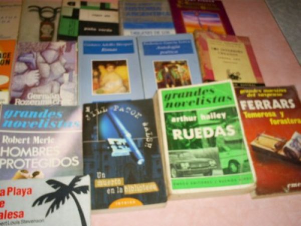 LOTE DE 20 LIBROS SURTIDOS