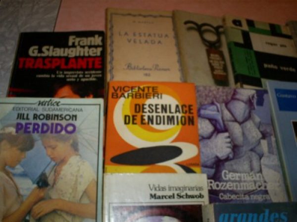 LOTE DE 20 LIBROS SURTIDOS