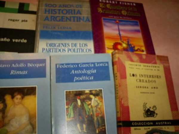 LOTE DE 20 LIBROS SURTIDOS