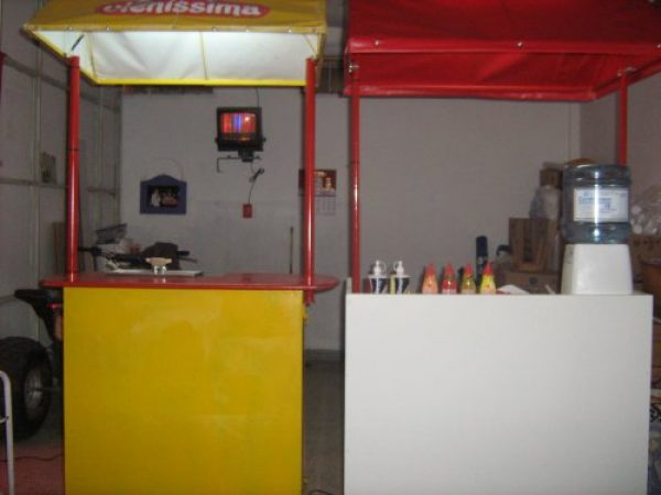 VENDO  CARRO PANCHERO.