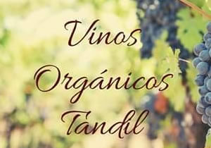 Vinos Orgánicos Tandil