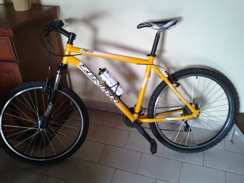 Zenith Riva Rodado 26 Factory Sale, 50% OFF | www.ingeniovirtual.com