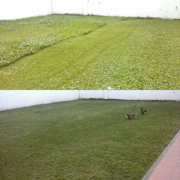  Mantenimiento de parques y jardines