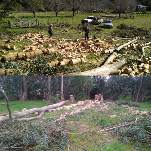  Mantenimiento de parques y jardines