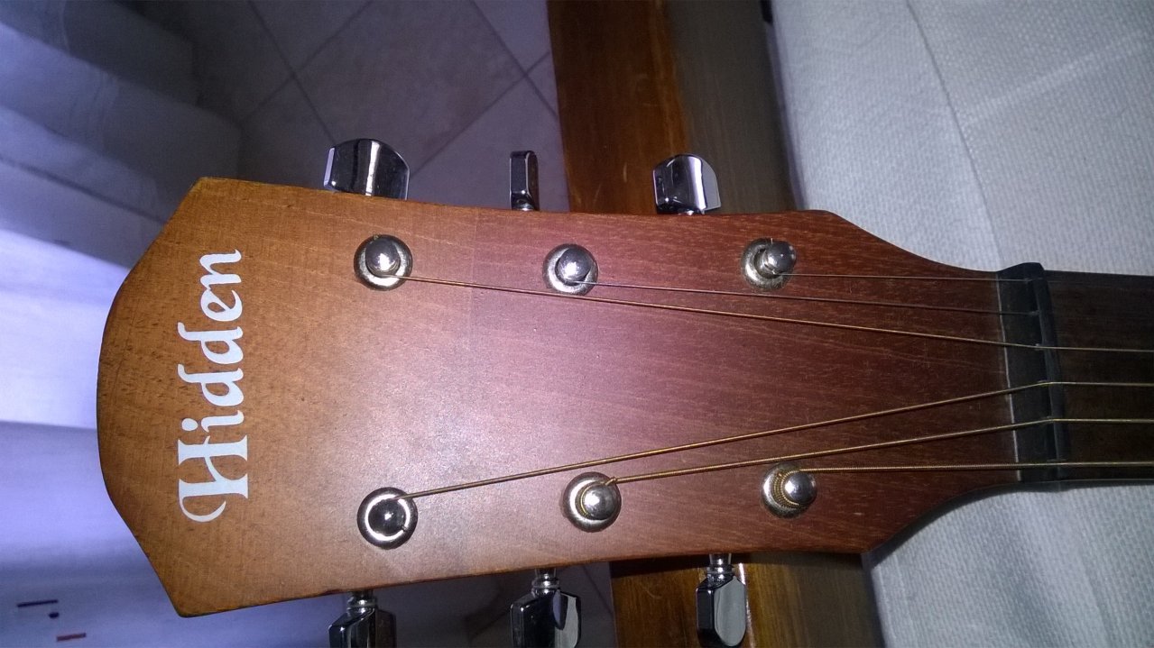 Guitarra electroacustica HIDDEN en Tandil - Región 20