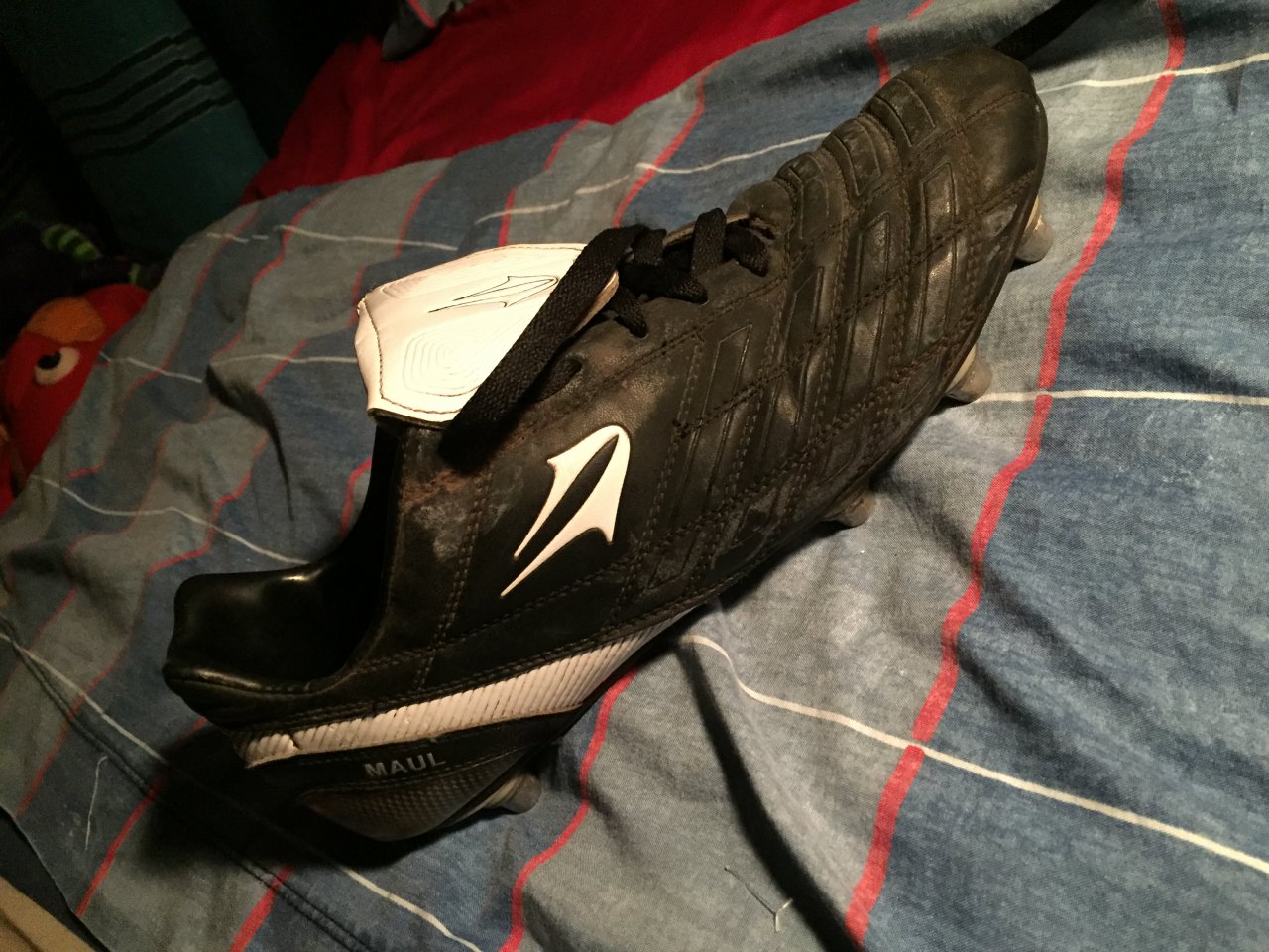 Botines en Tandil - Región 20
