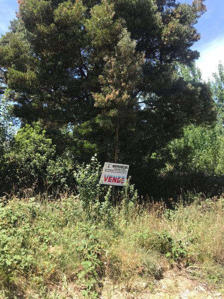 Lote | Fuente de los Vascos | Tandil