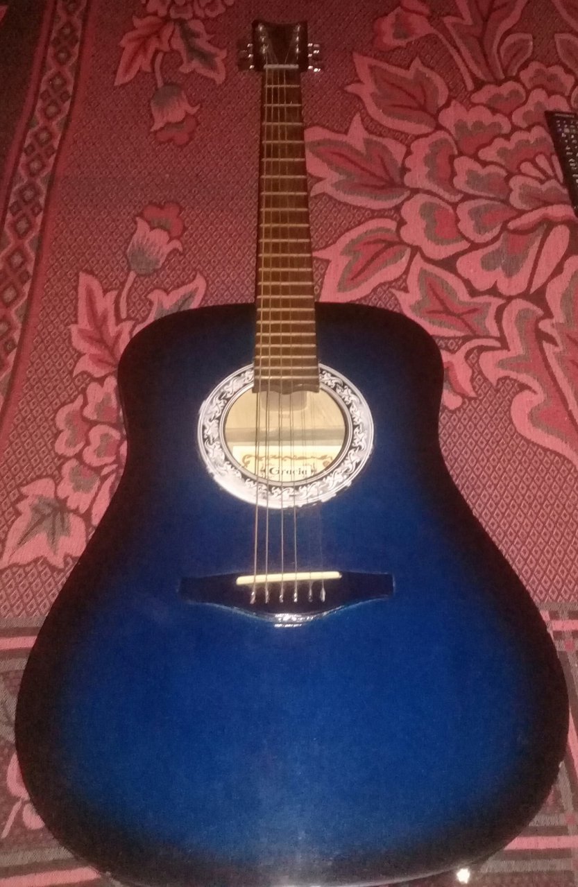 Guitarra Electroacústica Gracia Wilde Jr c/eq | MUZIKLP