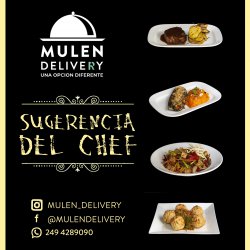 Mulen Delivery