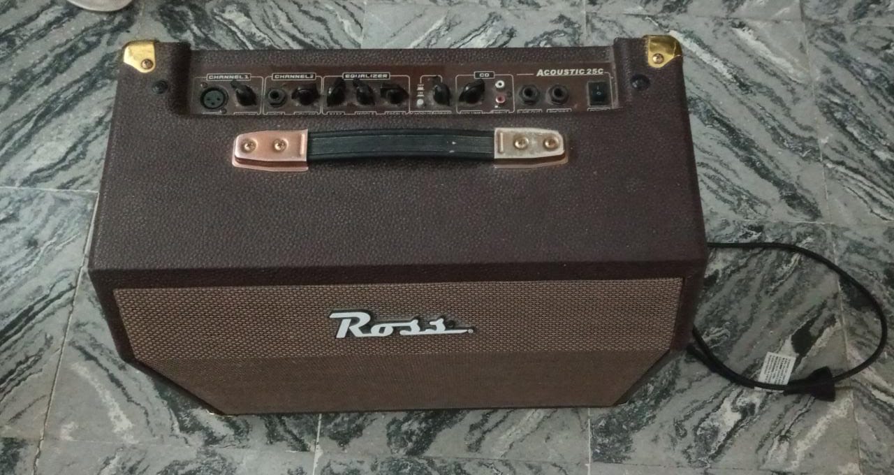 Amplificador Ross 25w en Tandil - Región 20