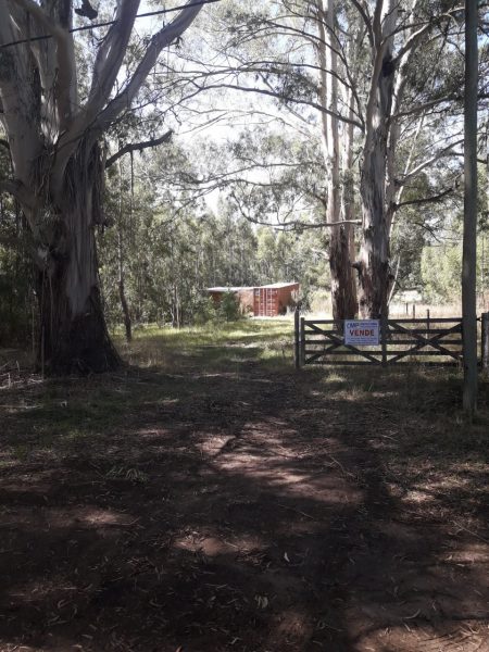 Lote | La Elena | Tandil