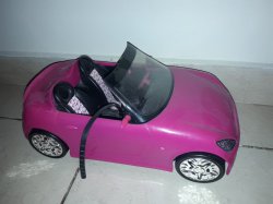 Auto Barbie