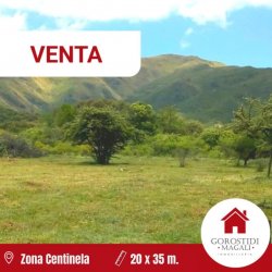 Lote | 0 ambientes | Centine | Tandil