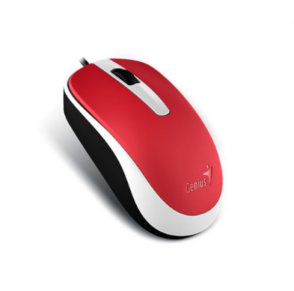 MOUSE GENIUS USB  DX120 - Tandil